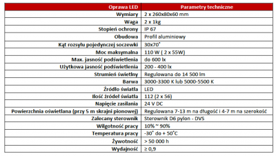 Hybrydowy znak aktywny D6 (pylon)