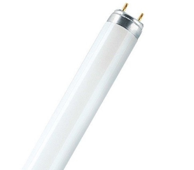 Świetlówki liniowe OXY / BEL LIGHT T8