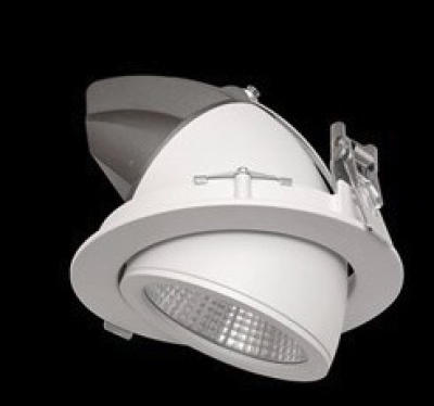 Regulowana oprawa wbudowywana Angle