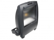  Bowi Naświetlacz LED Rlf 10W