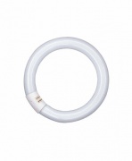 Świetlówka liniowa LUMILUX T9 C