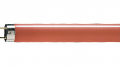 TL-D Colored 18W Red 1sl
