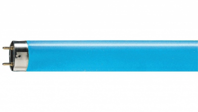 TL-D Colored 36W Blue 1sl