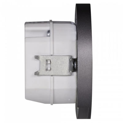 MUNA PT 230V AC sterownik grafit barwa światła rgb