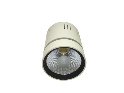 Downlight Led Cob Loner 10w+2w Biały Ciepły+niebi