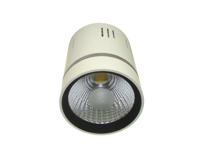 Downlight Led Cob Loner 15w+3w Biały Ciepły+niebi