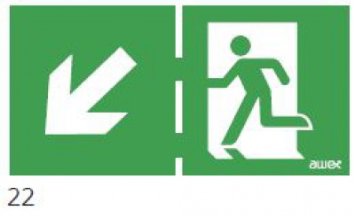 150x300 Piktogram 22 Ukośna Strzałka Góra/dół Chłopek W Drzwiach Logo Awex (iso7010)