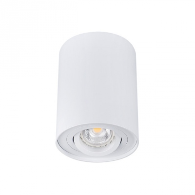 Sufitowa oprawa punktowa Bord Dlp-50-w