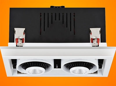 Downlight Led Negro  2*38w Regulowany Dw