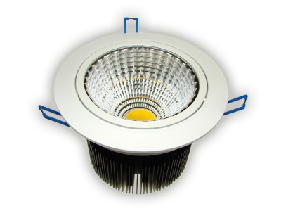 Downlight Led Cob Rowana 30w Biały Dzienny
