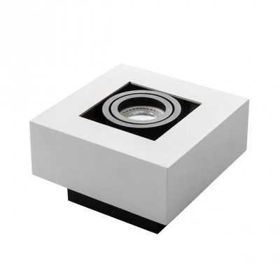 Sufitowa oprawa punktowa Stobi Dlp 50-W