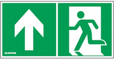 Piktogram strzałka w górę , lewo 150x300 (159,5x310,5)