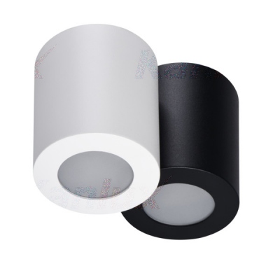 Oprawa sufitowa punktowa Sani Ip44 Dso-b