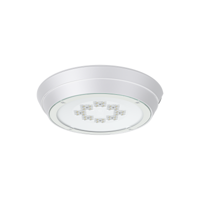 Oprawa parkowa Artera Led Ed 13450lm/740 O7 Szary Ii Kl.