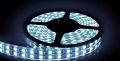 Taśma Led Cobras 3528 Biała Zimna 5m/1200 24v