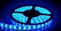 Taśma Led Cobras 3528 Niebieska 5m/300diod